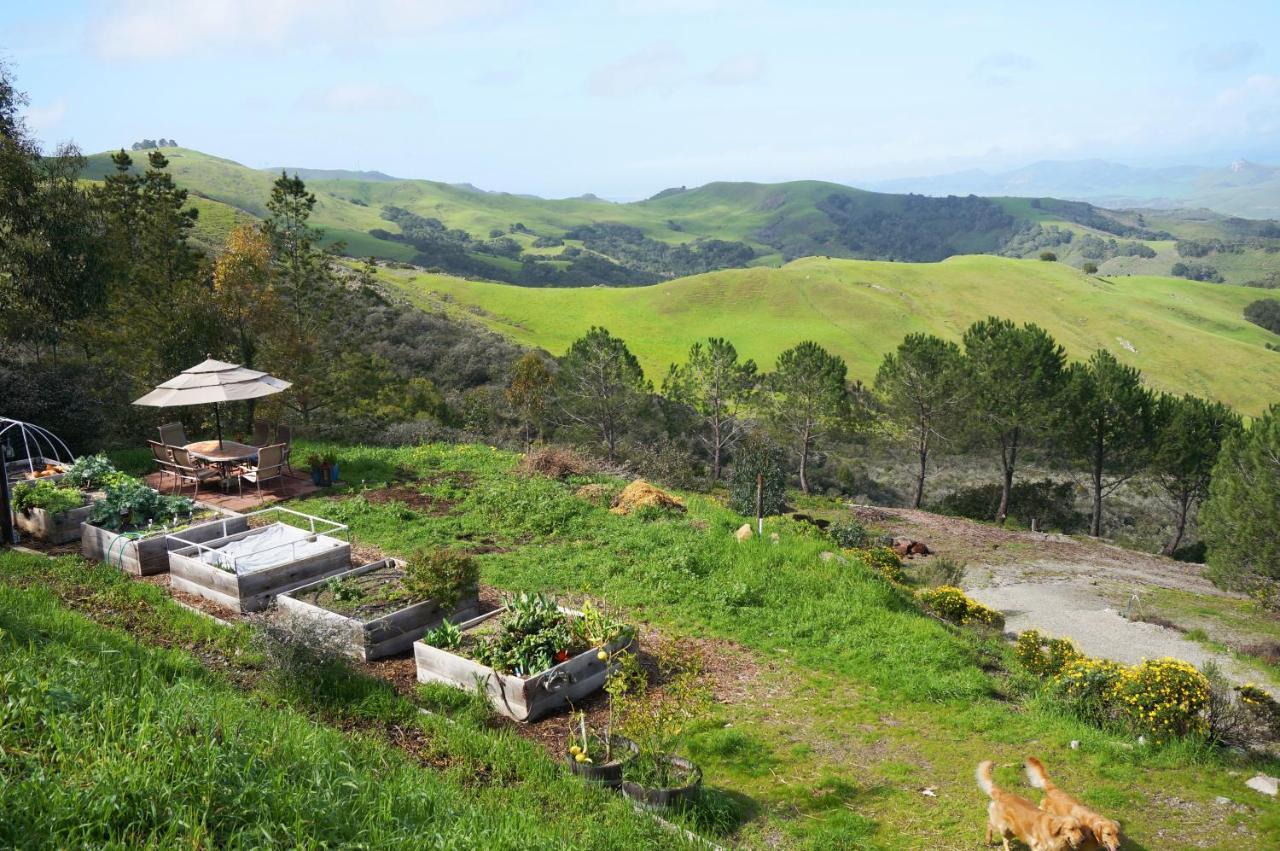Mountain Top Getaway, Best View In Slo! - Whole House San Luis Obispo Exterior foto