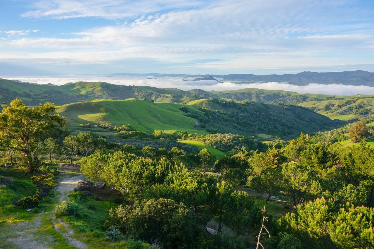 Mountain Top Getaway, Best View In Slo! - Whole House San Luis Obispo Exterior foto